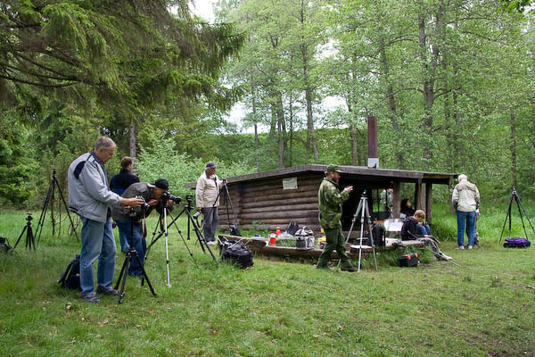 Foto: Lasse Parbring
